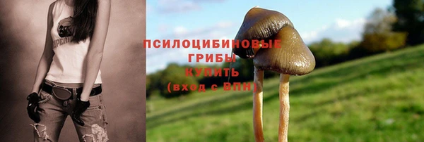 сатива Вязники