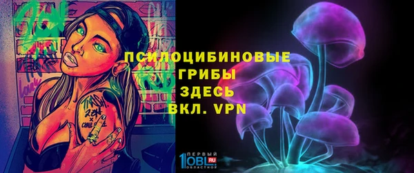 сатива Вязники