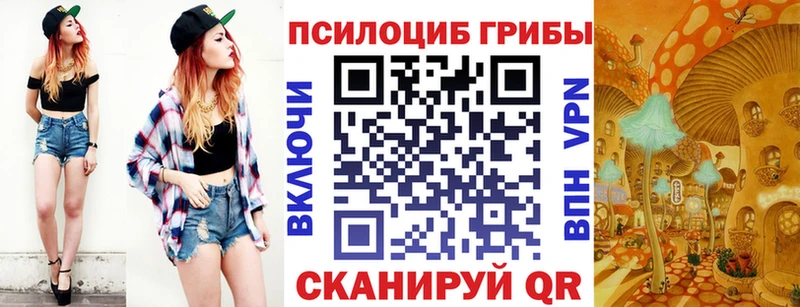 Псилоцибиновые грибы Magic Shrooms  МЕГА как зайти  Щёкино  купить  